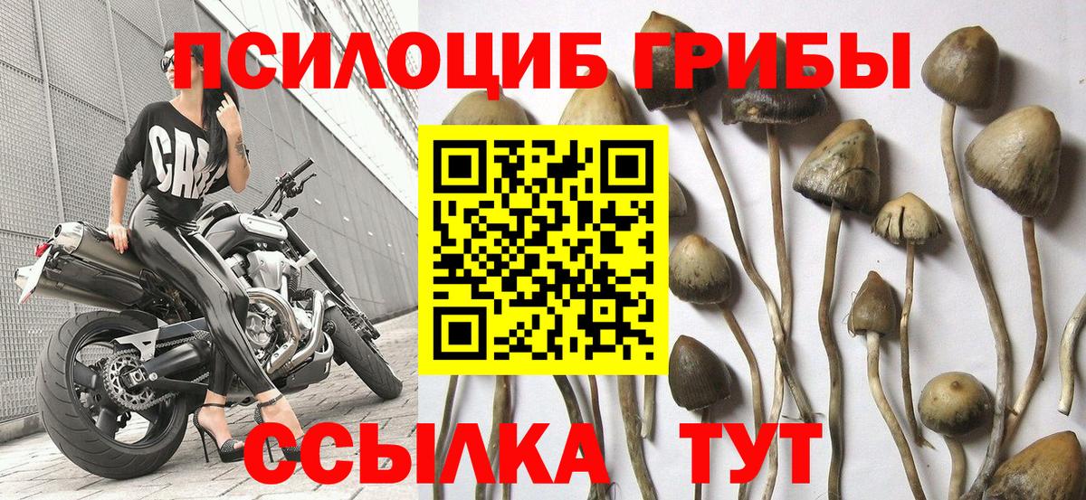 Татарск  Галлюциногенные грибы Magic Shrooms  Вход с VPN 
