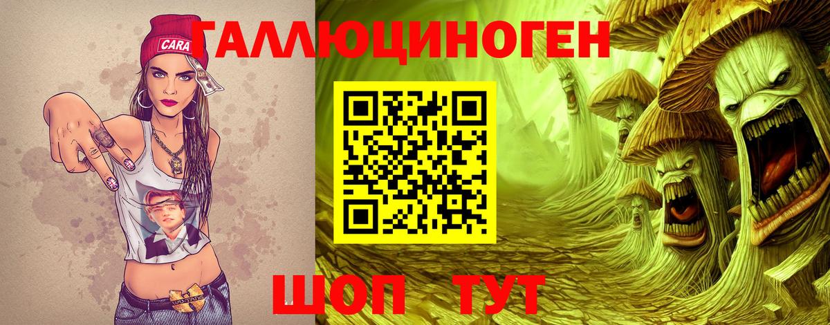 Псилоцибиновые грибы GOLDEN TEACHER Татарск