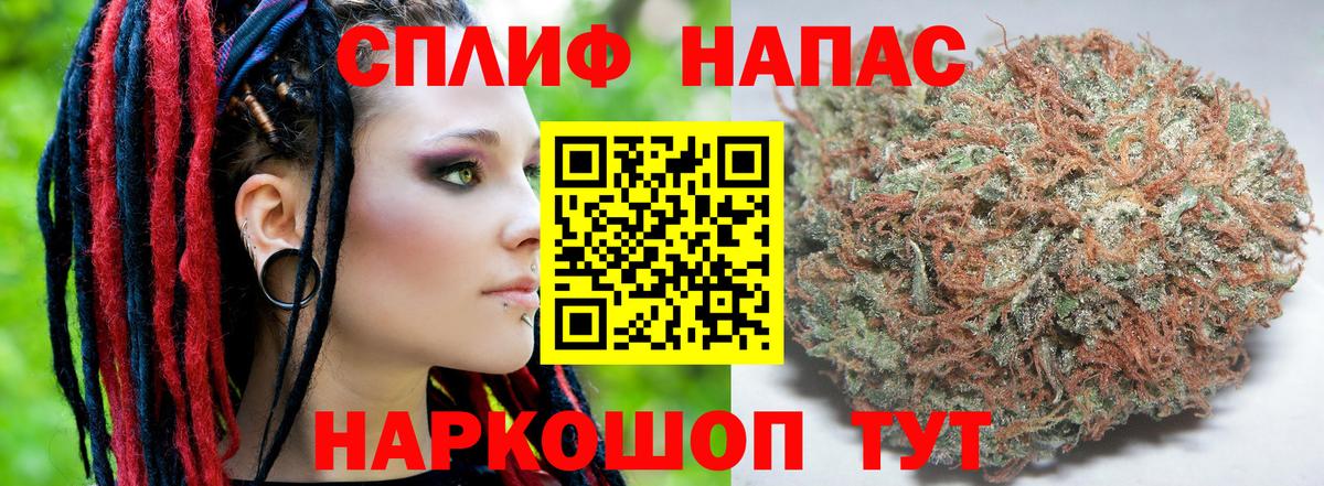 Шишки марихуана семена  Вход с VPN  Канабис семена  Татарск  Марихуана Amnesia 